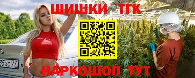 гашик Камышлов