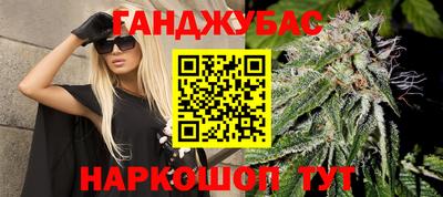 гашик Камышлов